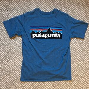 Patagonia Men T